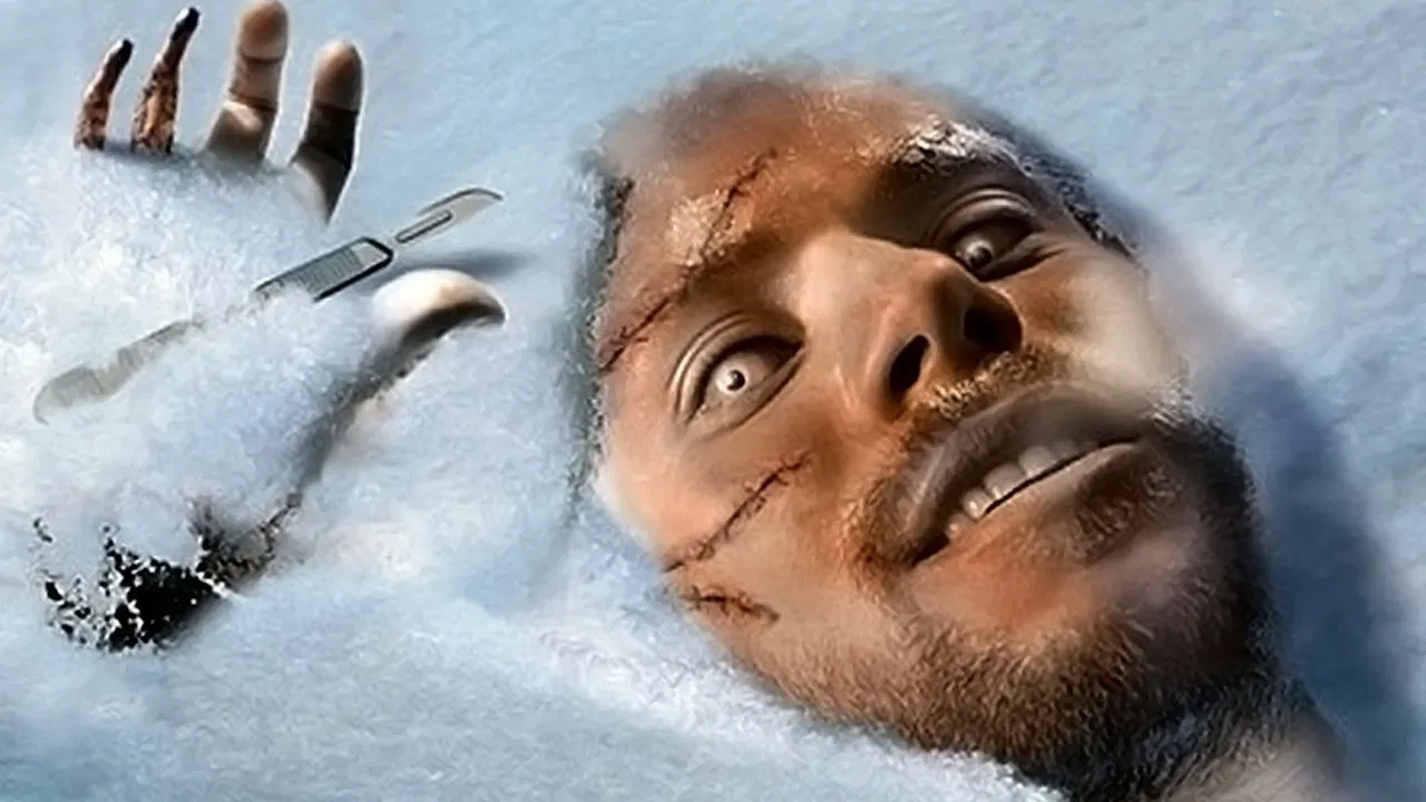 Subject Two backdrop