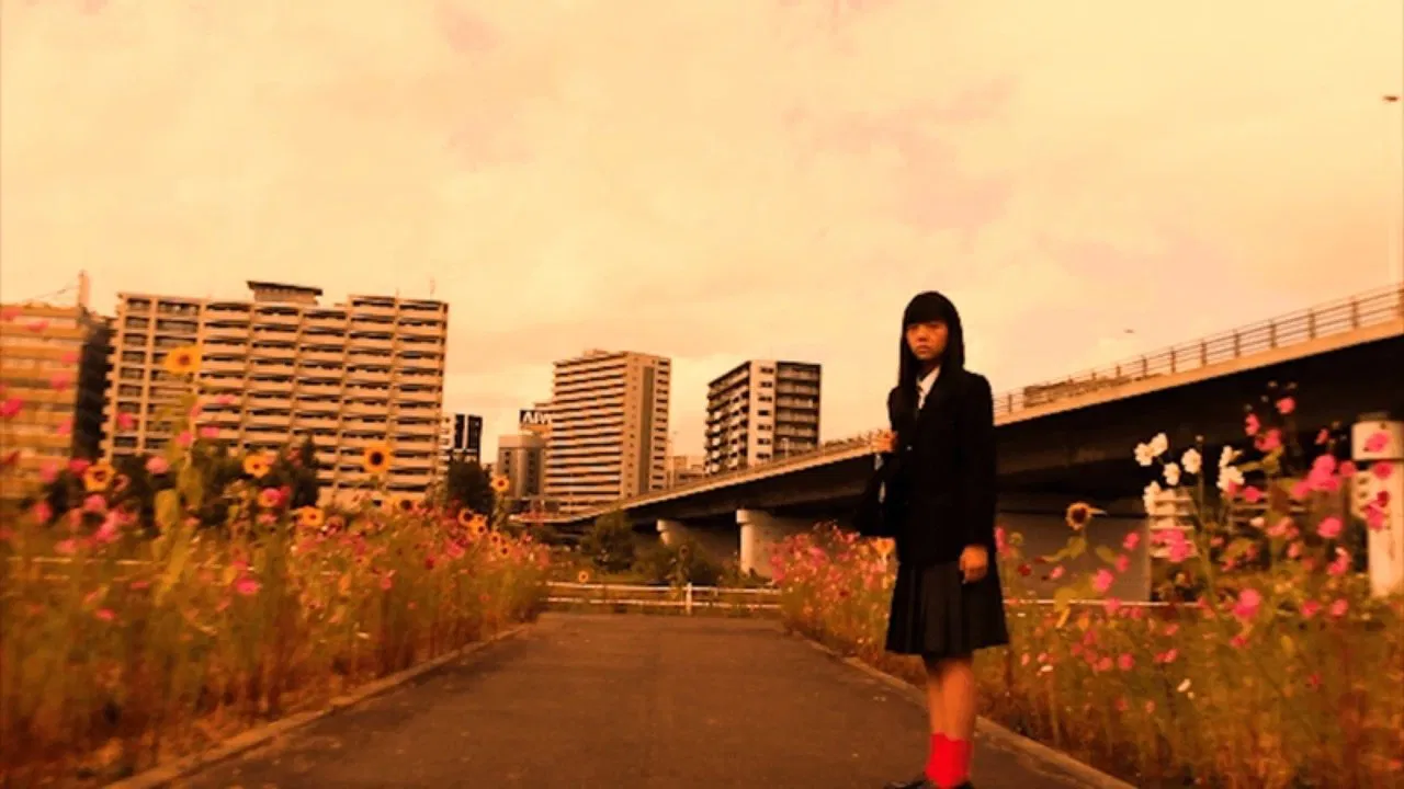 Wisdom Tooth backdrop