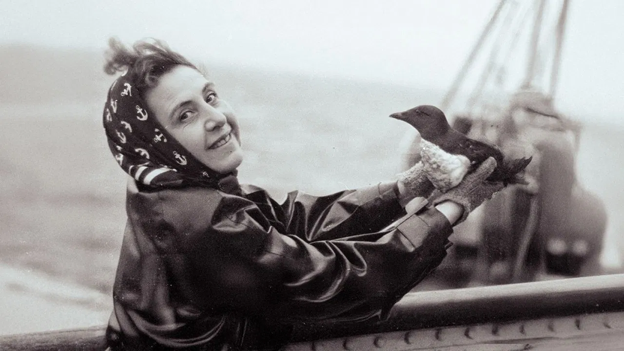 Anita Conti, l'appel du large backdrop