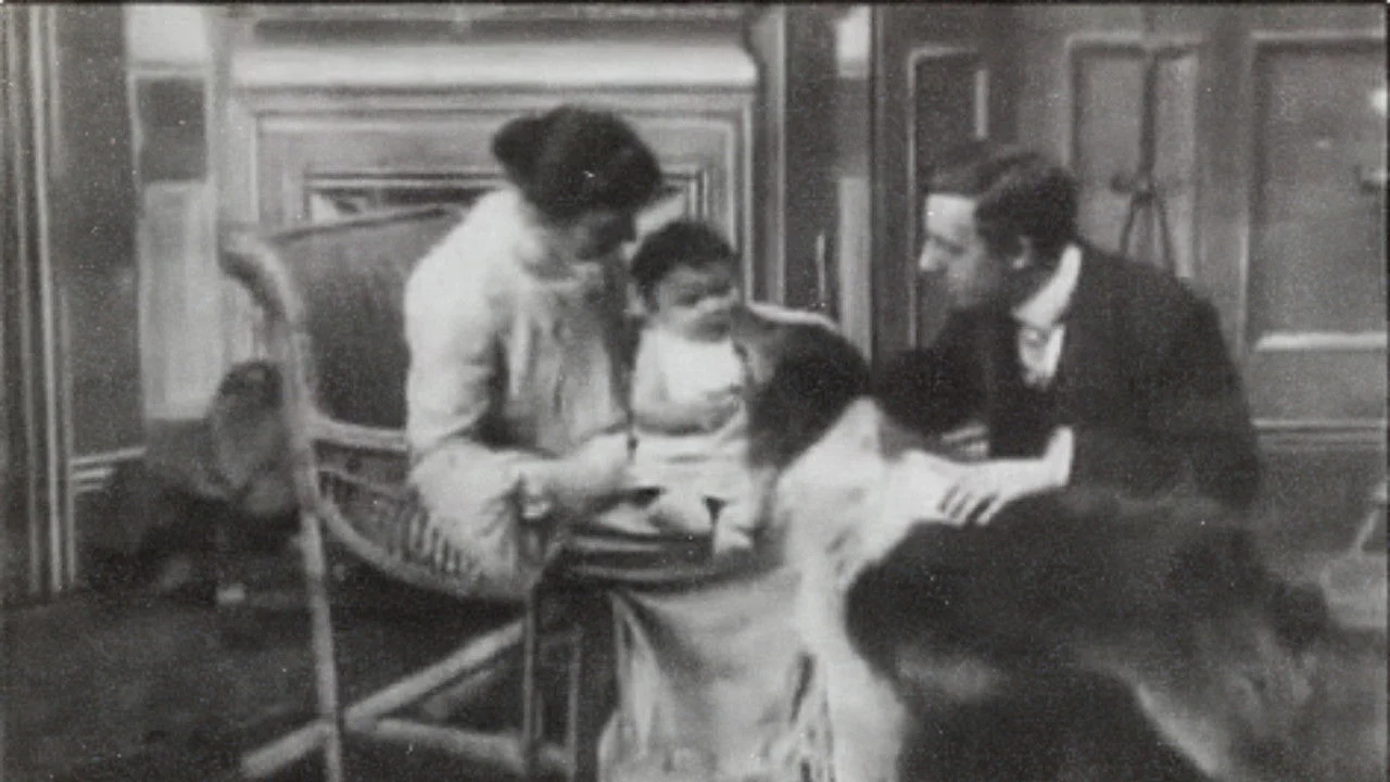 Rescued by Rover backdrop