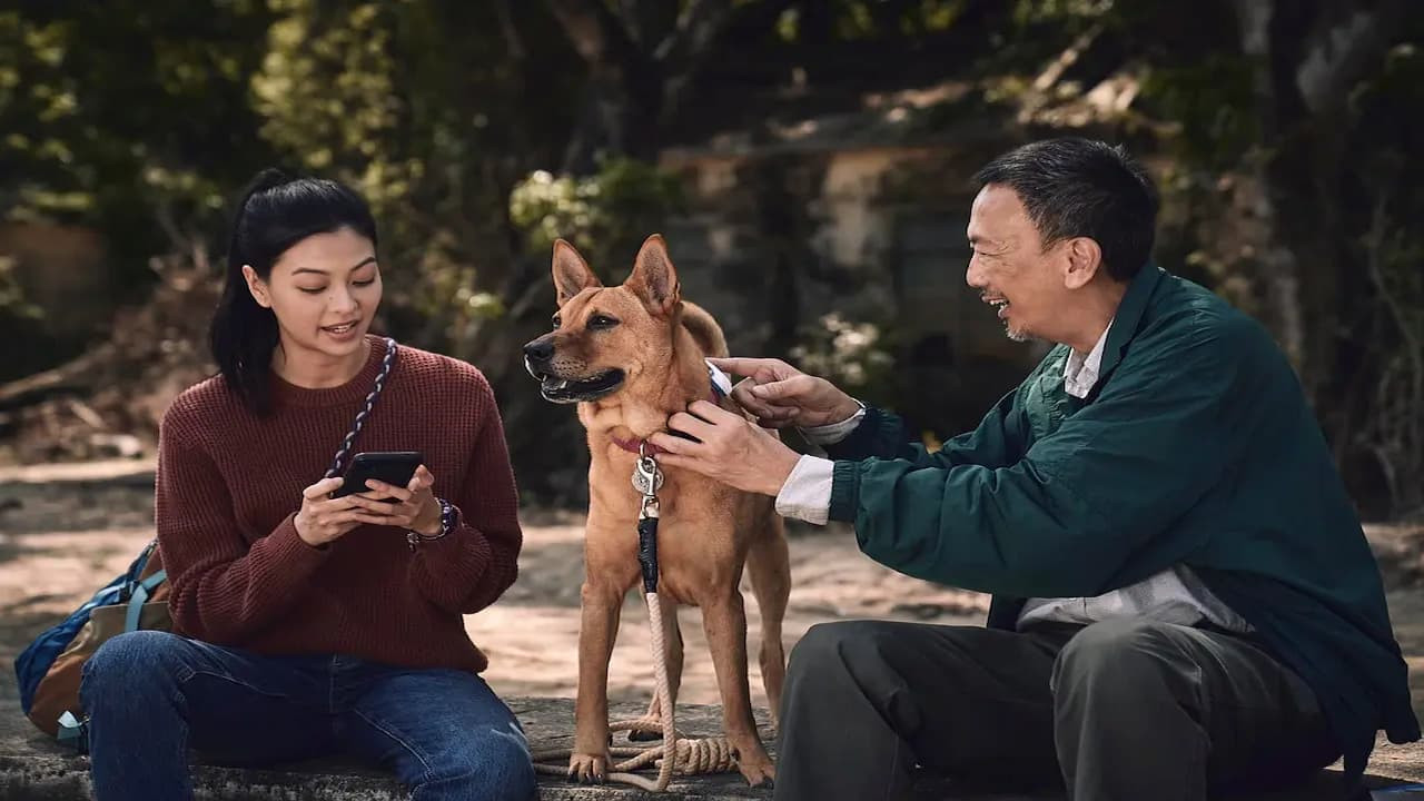 An Abandoned Team backdrop