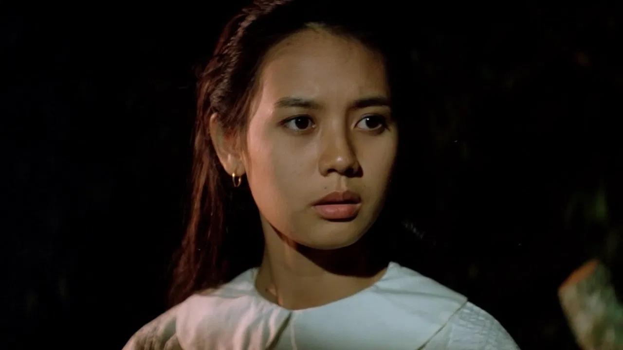 Sunset at Chaopraya backdrop