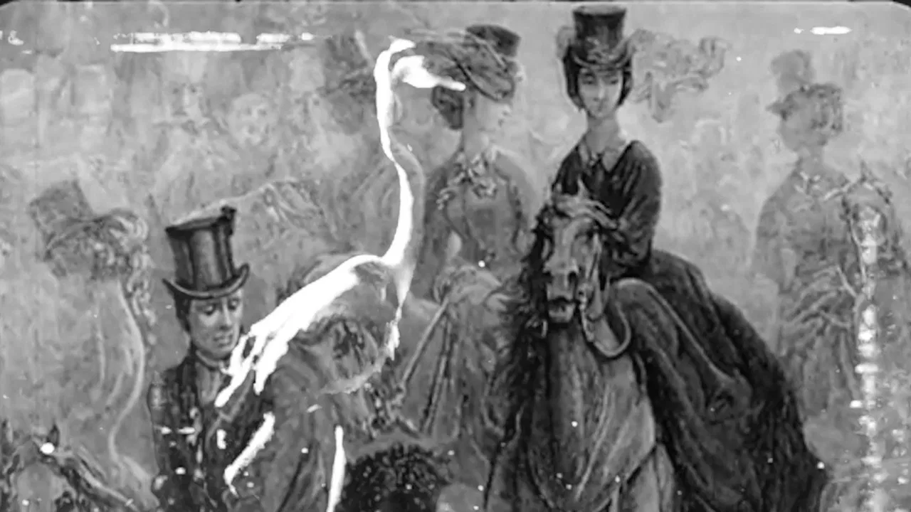 Some Thoughts On The Common Toad backdrop