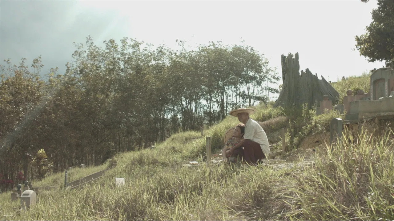 Weeping Birds backdrop