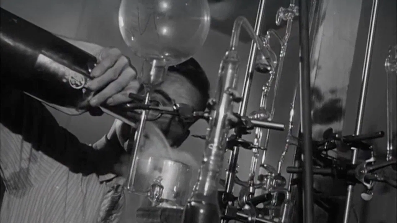 Fortune Seekers backdrop