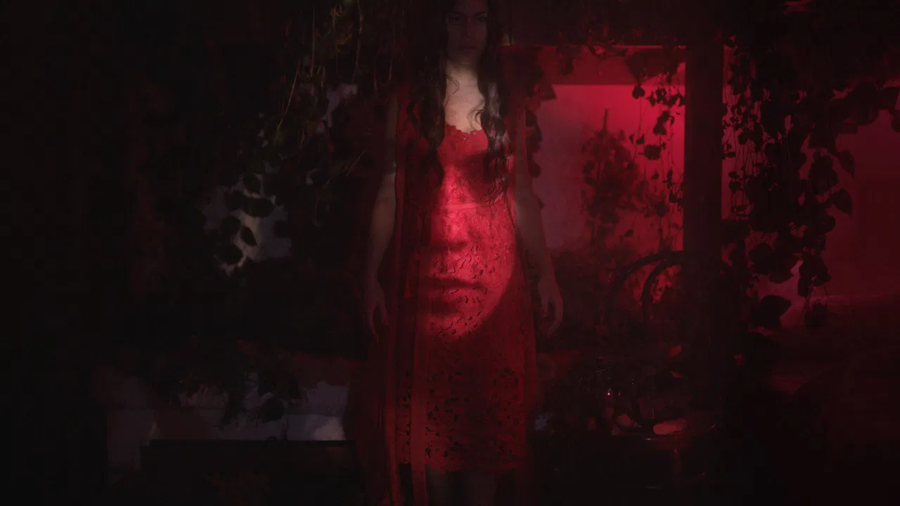 Difference & Repetition, 2020 backdrop