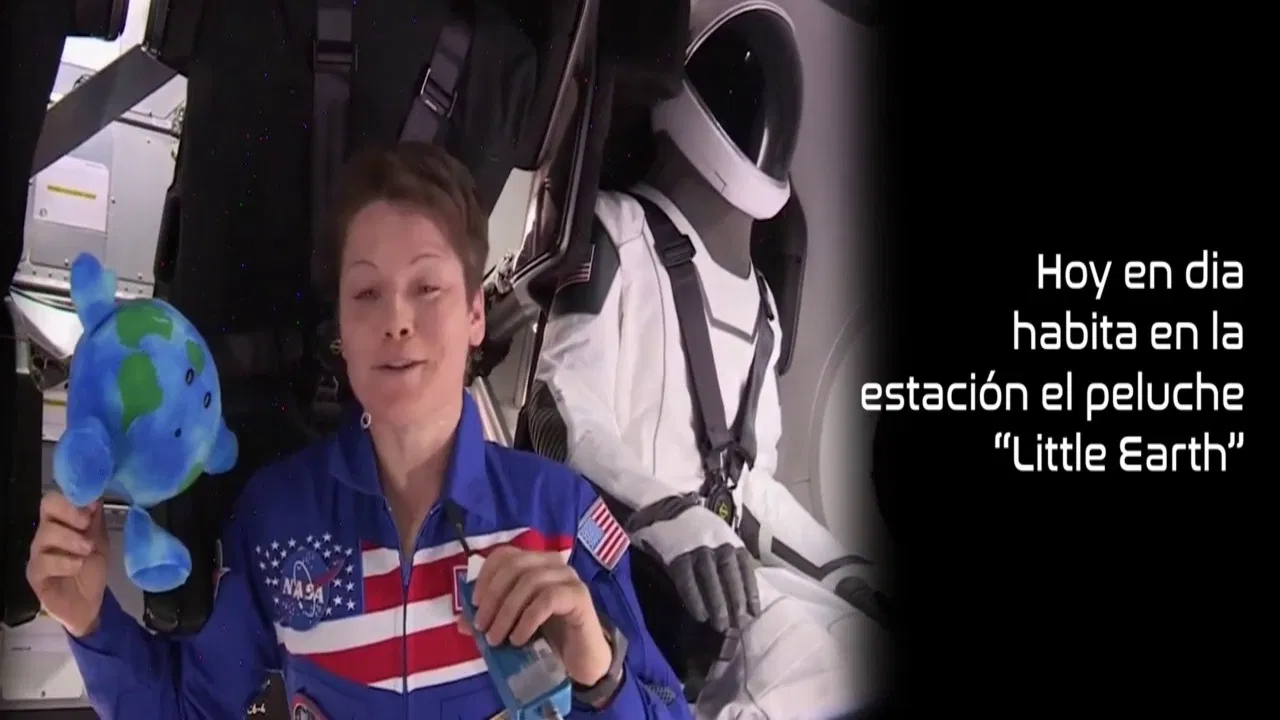 A Plushie's Dream backdrop