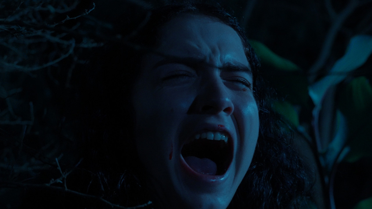 El llanto del perro backdrop