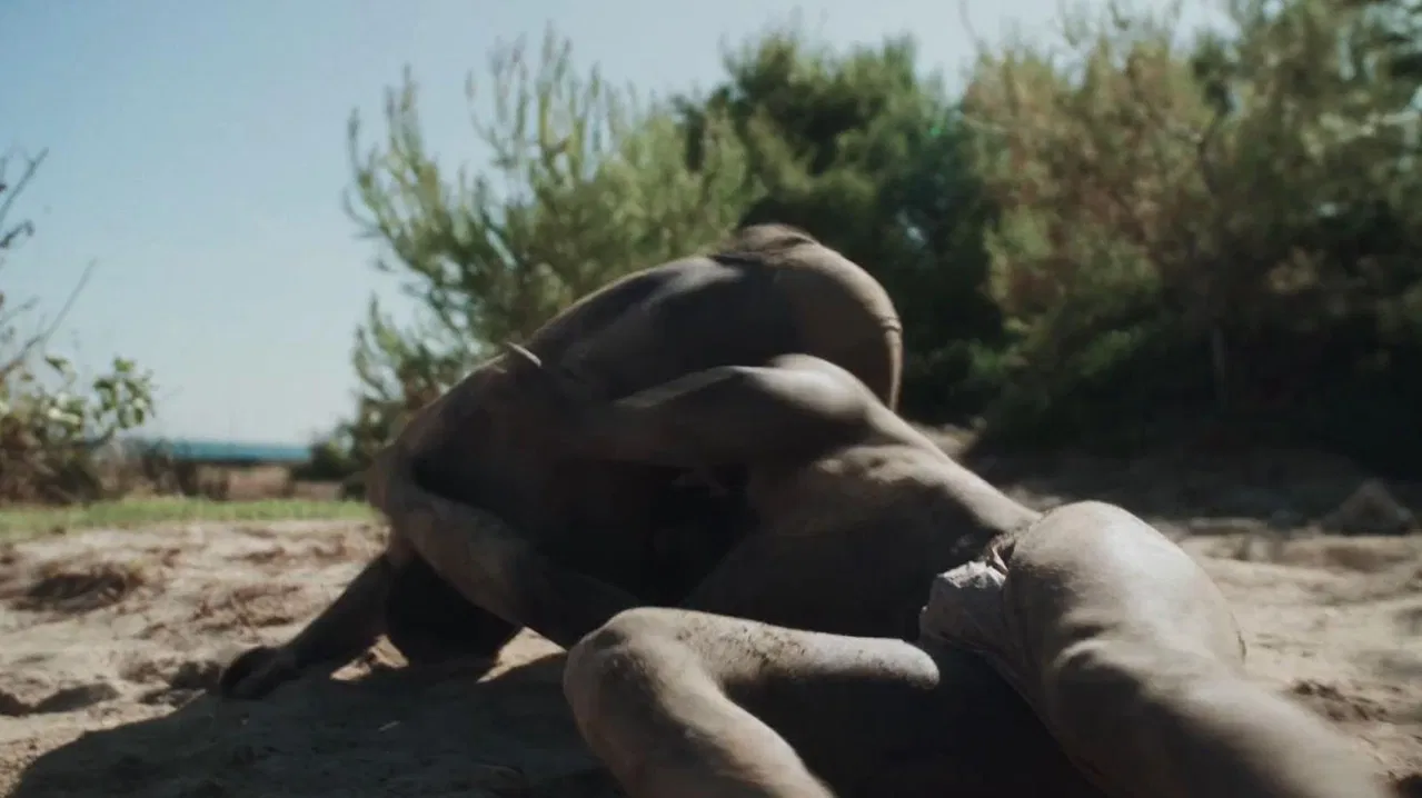 Il Cielo è Perso backdrop