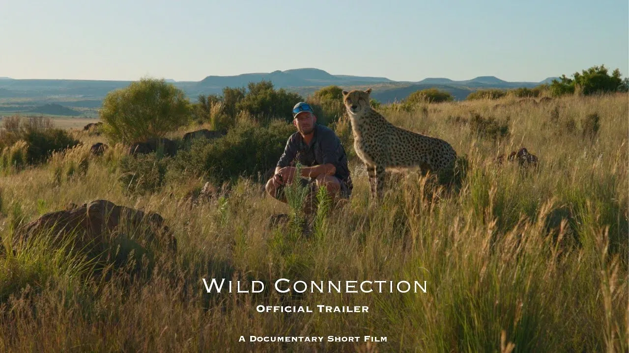 Wild Connection backdrop