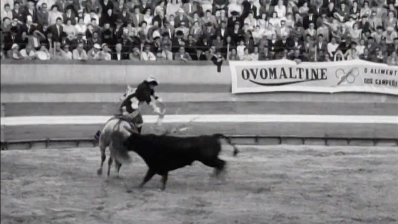 Born to Fight backdrop