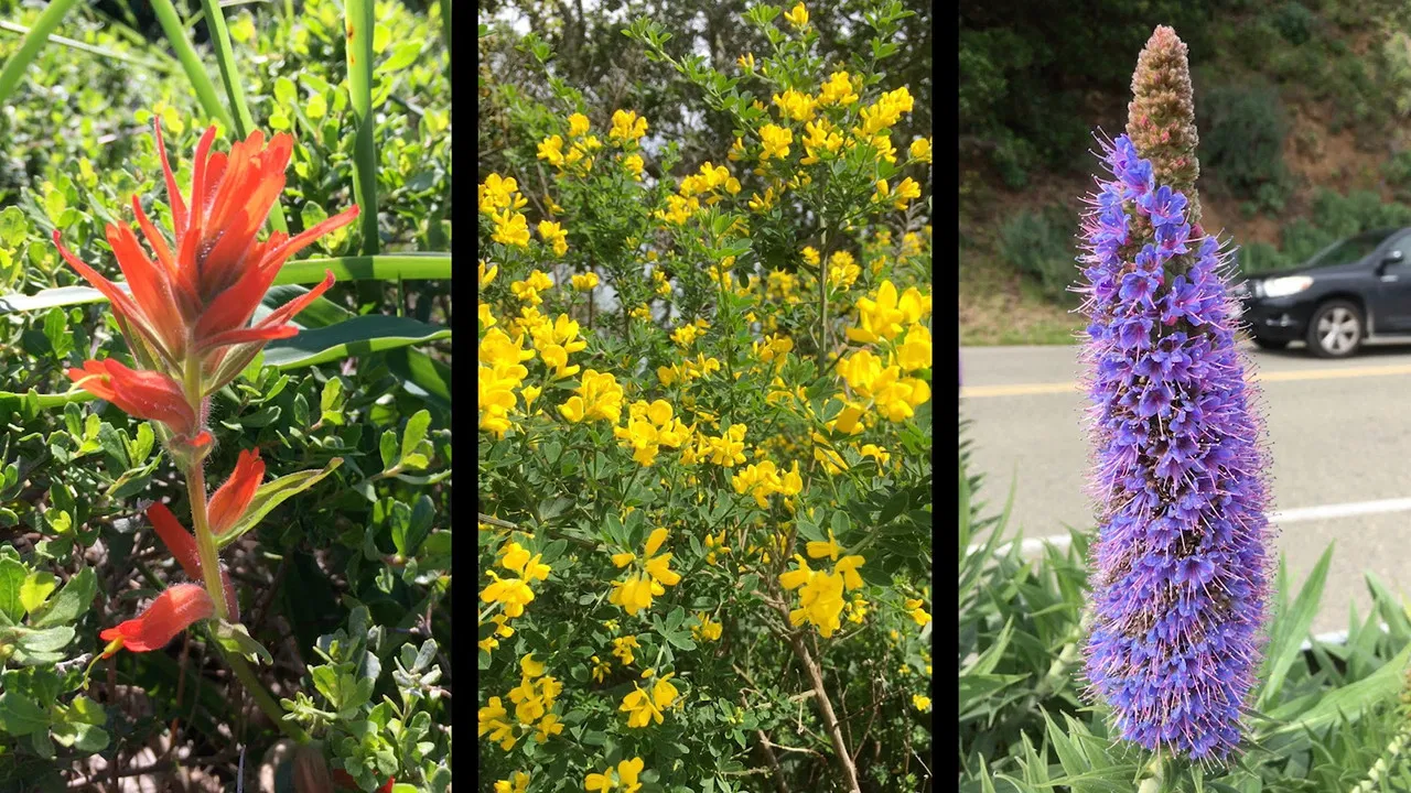 de rerum natura backdrop