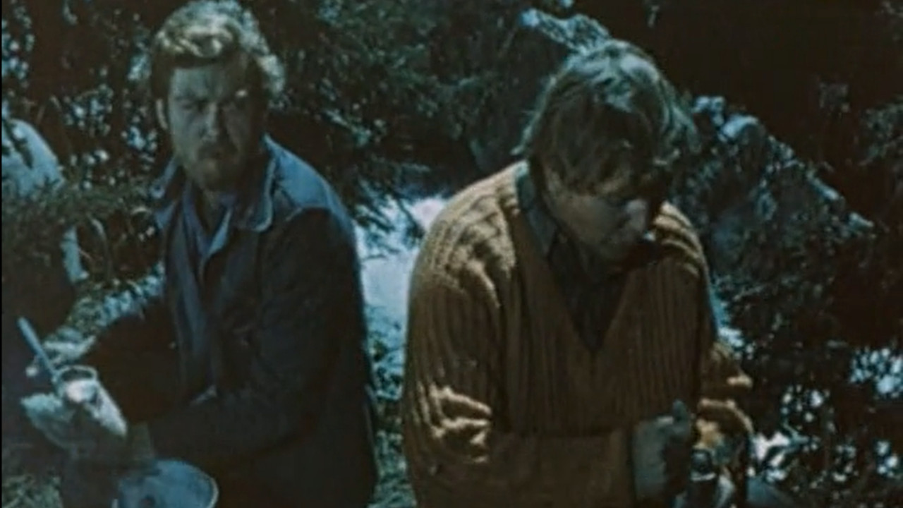 SOS from the Taiga backdrop