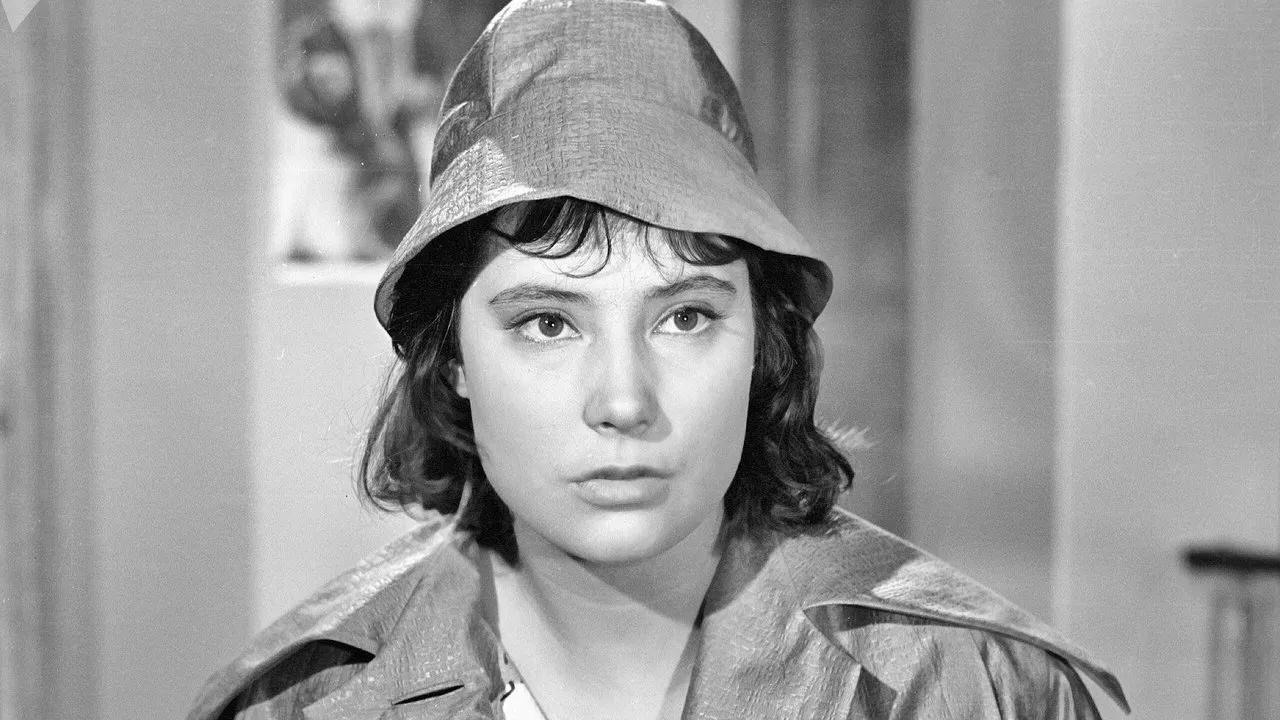 Leon Garros Is Looking for His Friend backdrop