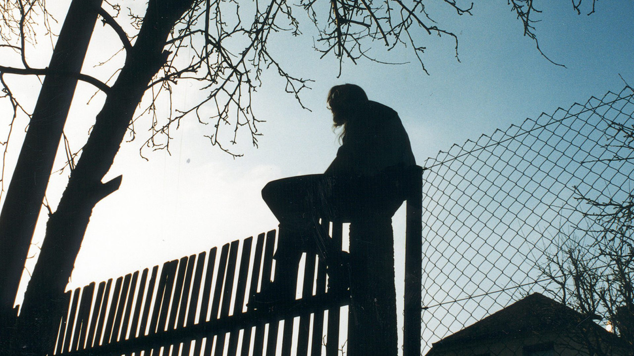 Across the Border: Five Views from Neighbours backdrop