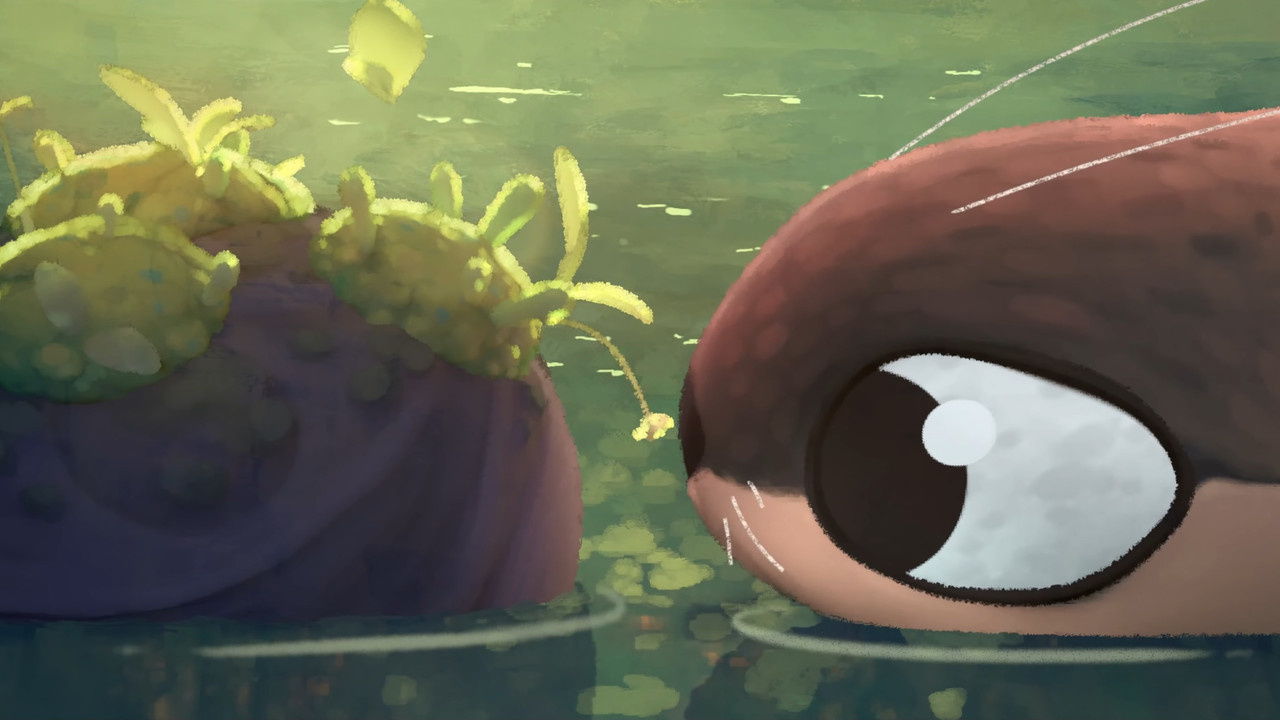 I am a Pebble backdrop