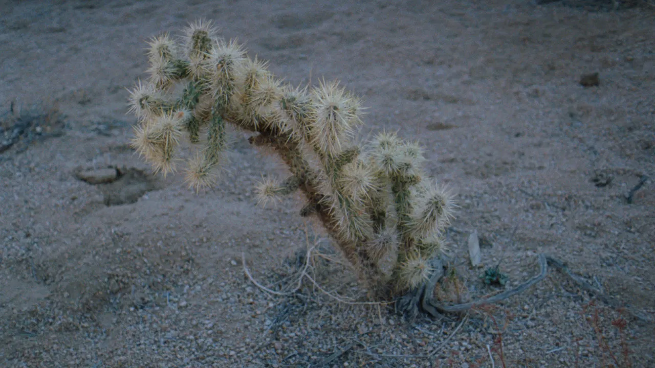Still from Afar backdrop