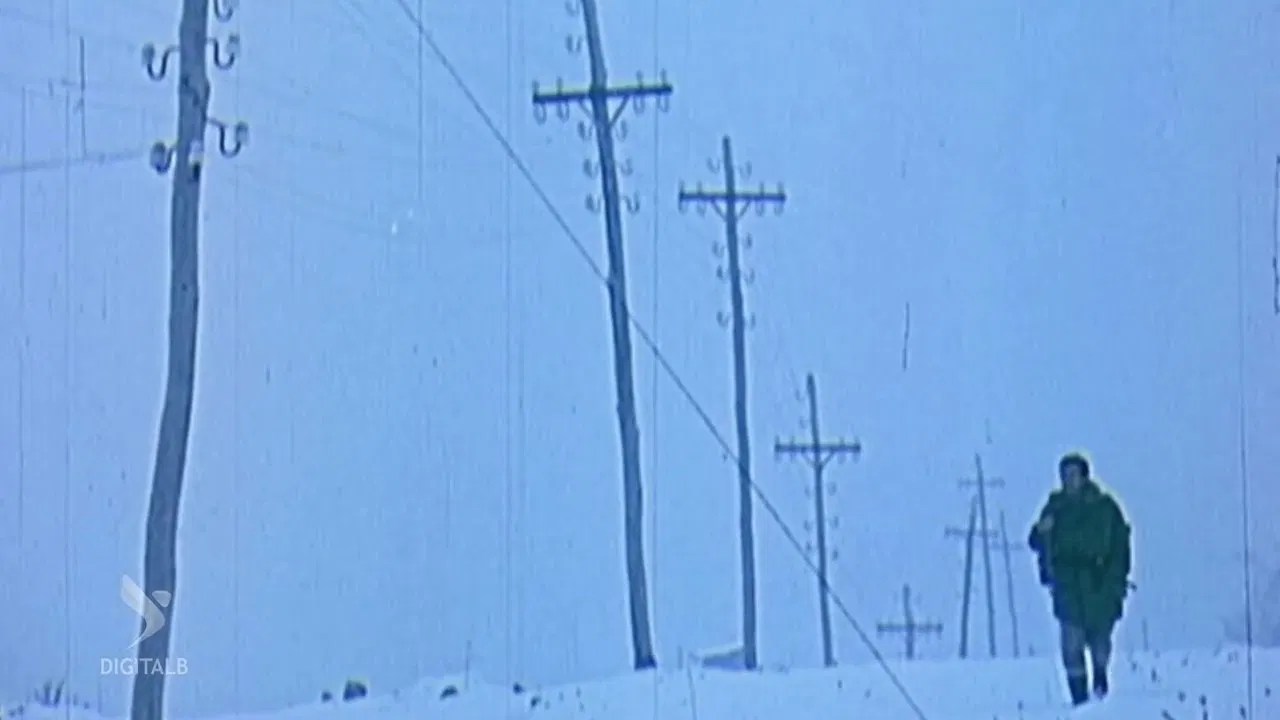 White Roads backdrop