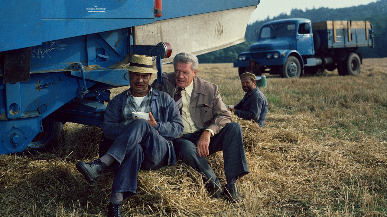 Plechová kavalerie backdrop