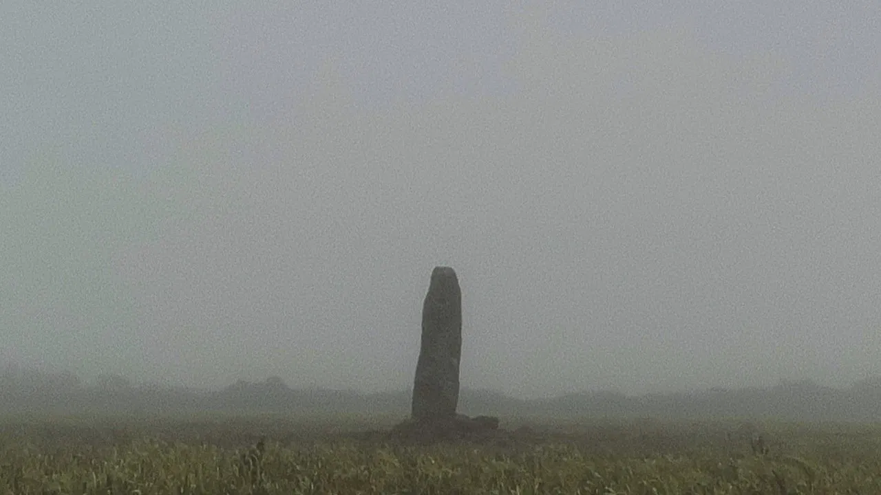 A Year in a Field backdrop