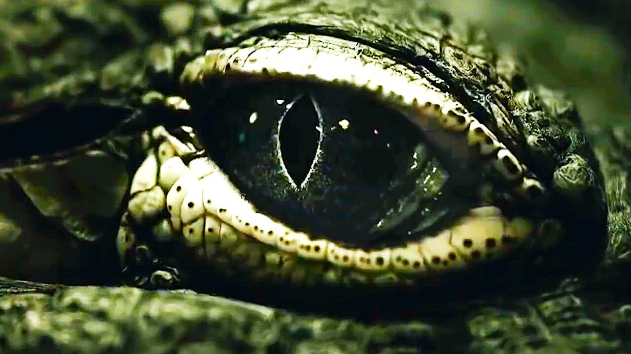 Saltwater: The Battle for Ramree Island backdrop