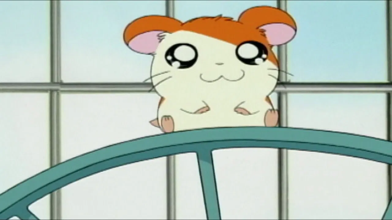 Hamtaro backdrop