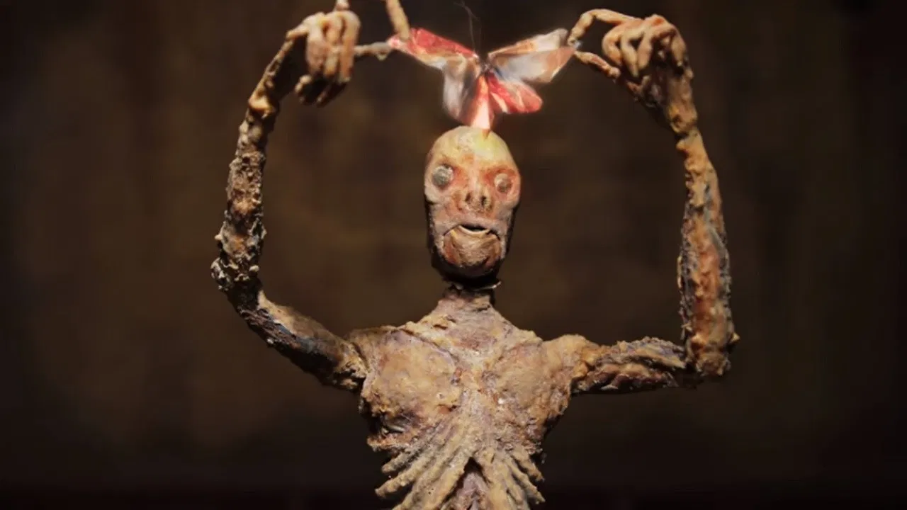 A Play of Colors backdrop