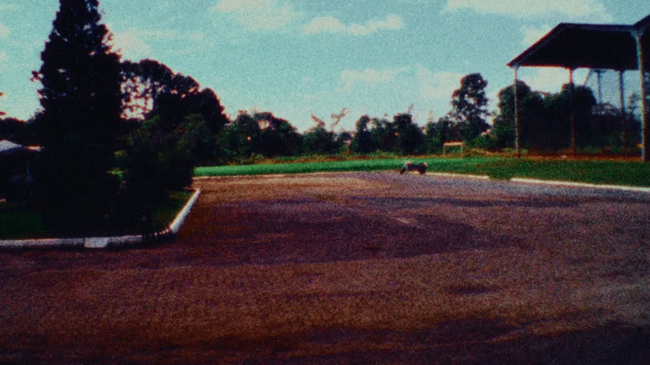 Maia: The Odyssey of a City backdrop