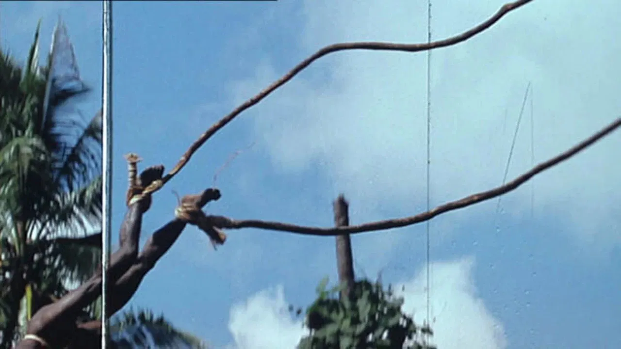 Coupé/Décalé backdrop