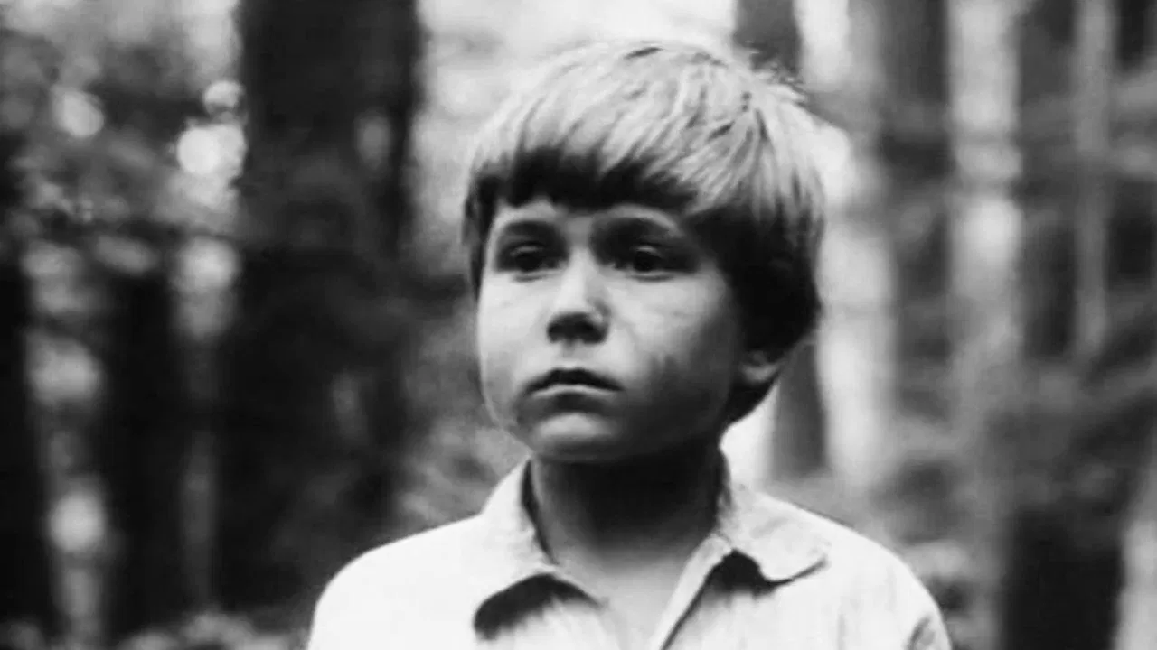 The Secret of the Partisan Dugout backdrop