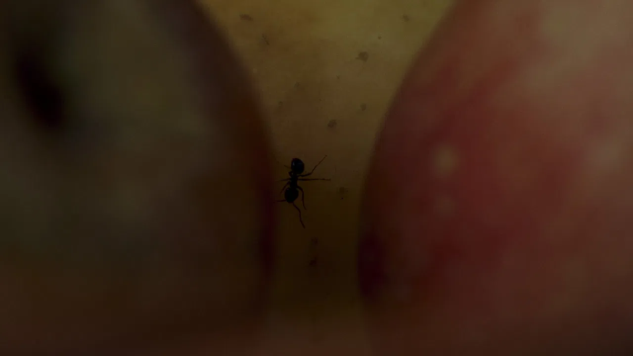 Estaba dormida backdrop