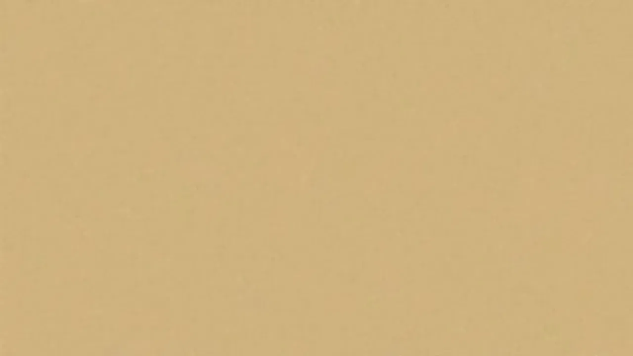 Bruno Dumont backdrop