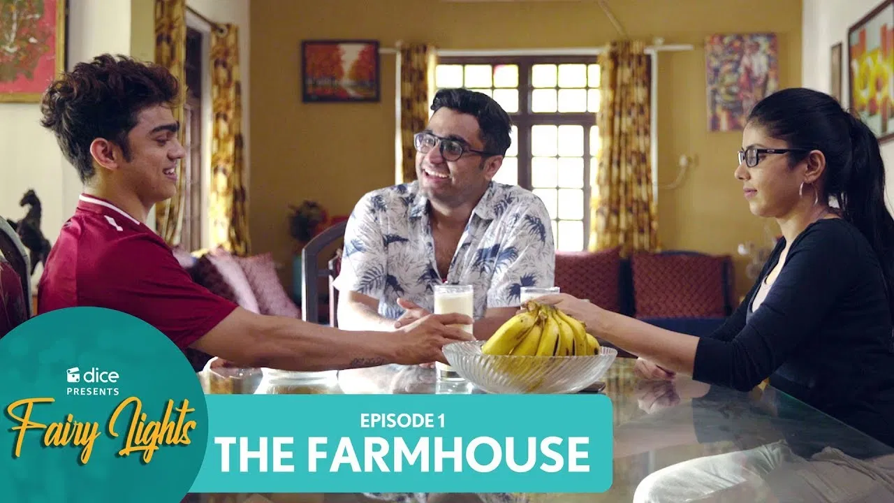 Fairy Lights backdrop