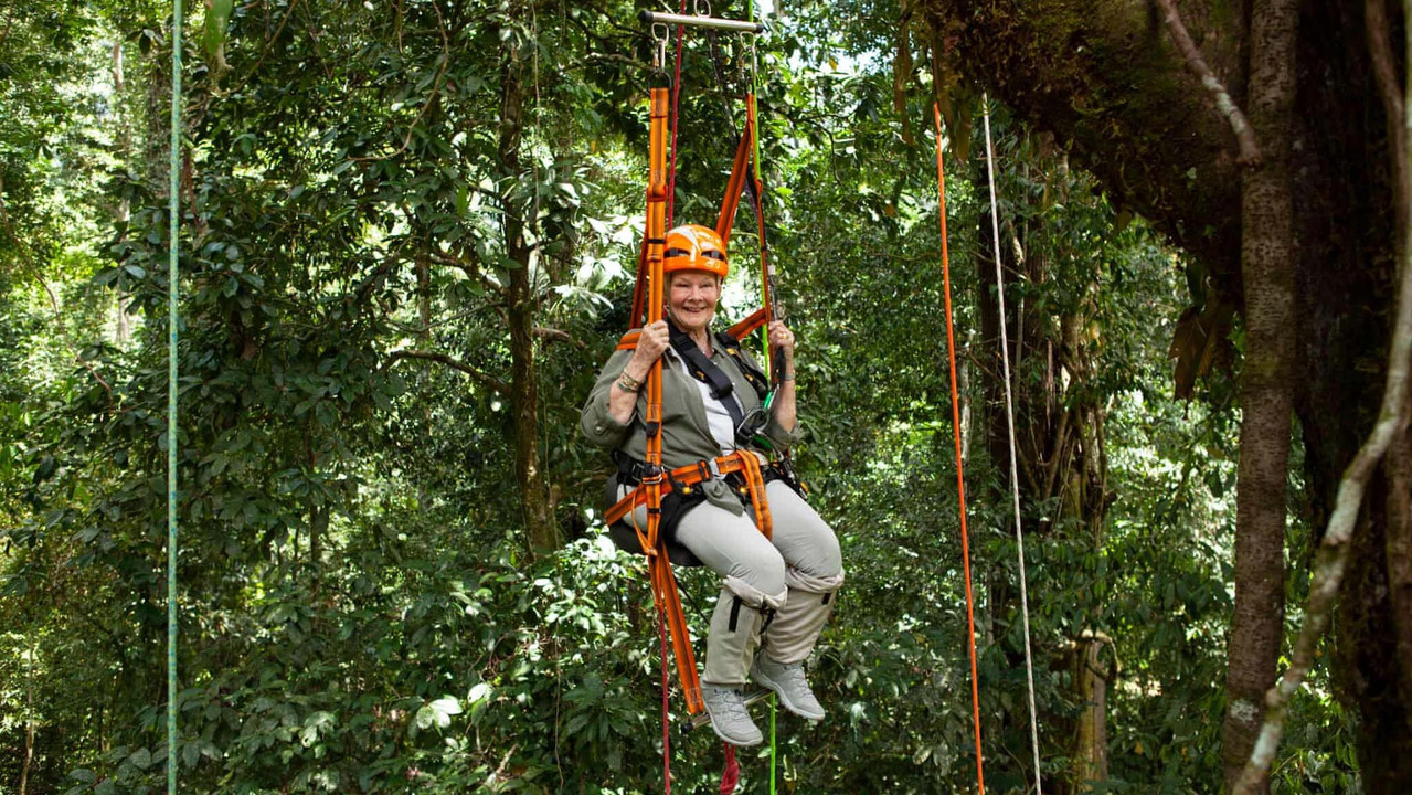 Judi Dench's Wild Borneo Adventure backdrop