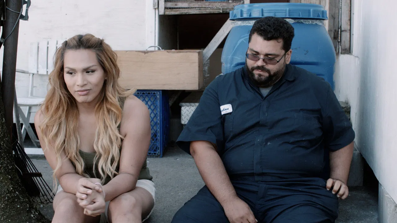 Bristol Fashion backdrop