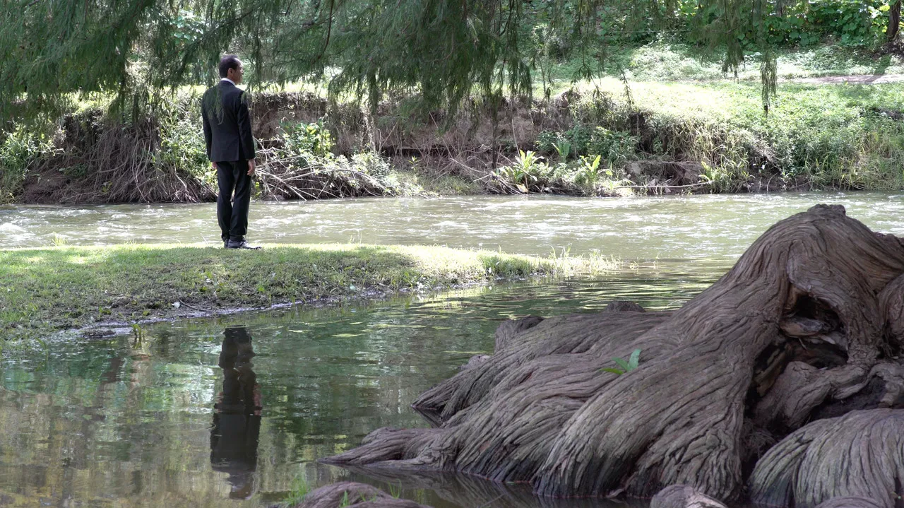 The office man backdrop