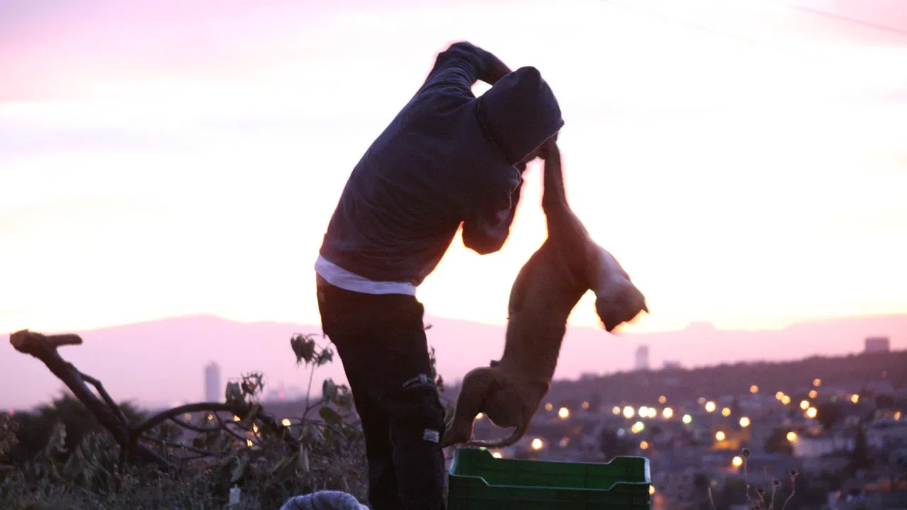 The Beast Within backdrop