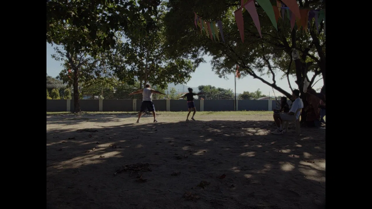 In the Morning Sun backdrop