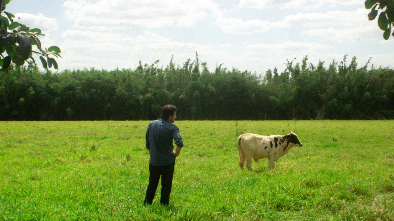 Volition Empire backdrop