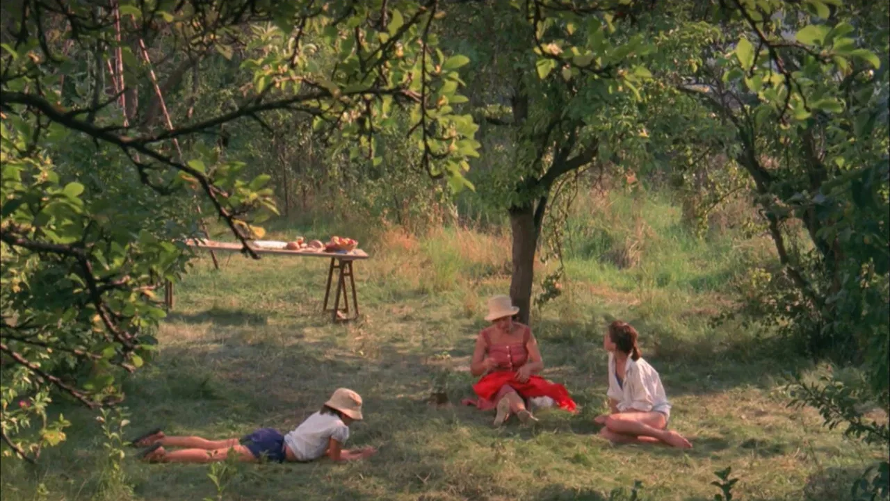 Celles qui restent backdrop