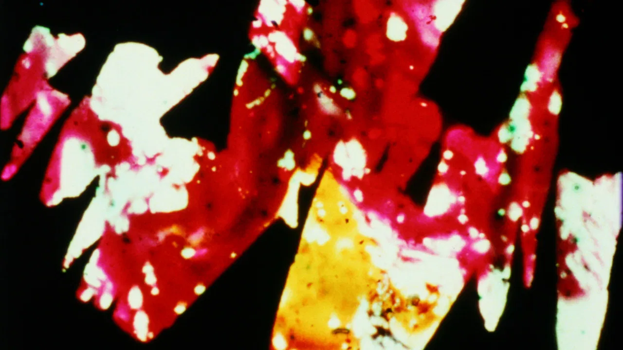 Divinations backdrop