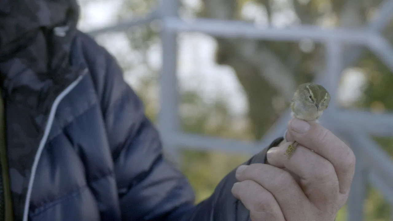 Before They Meet backdrop