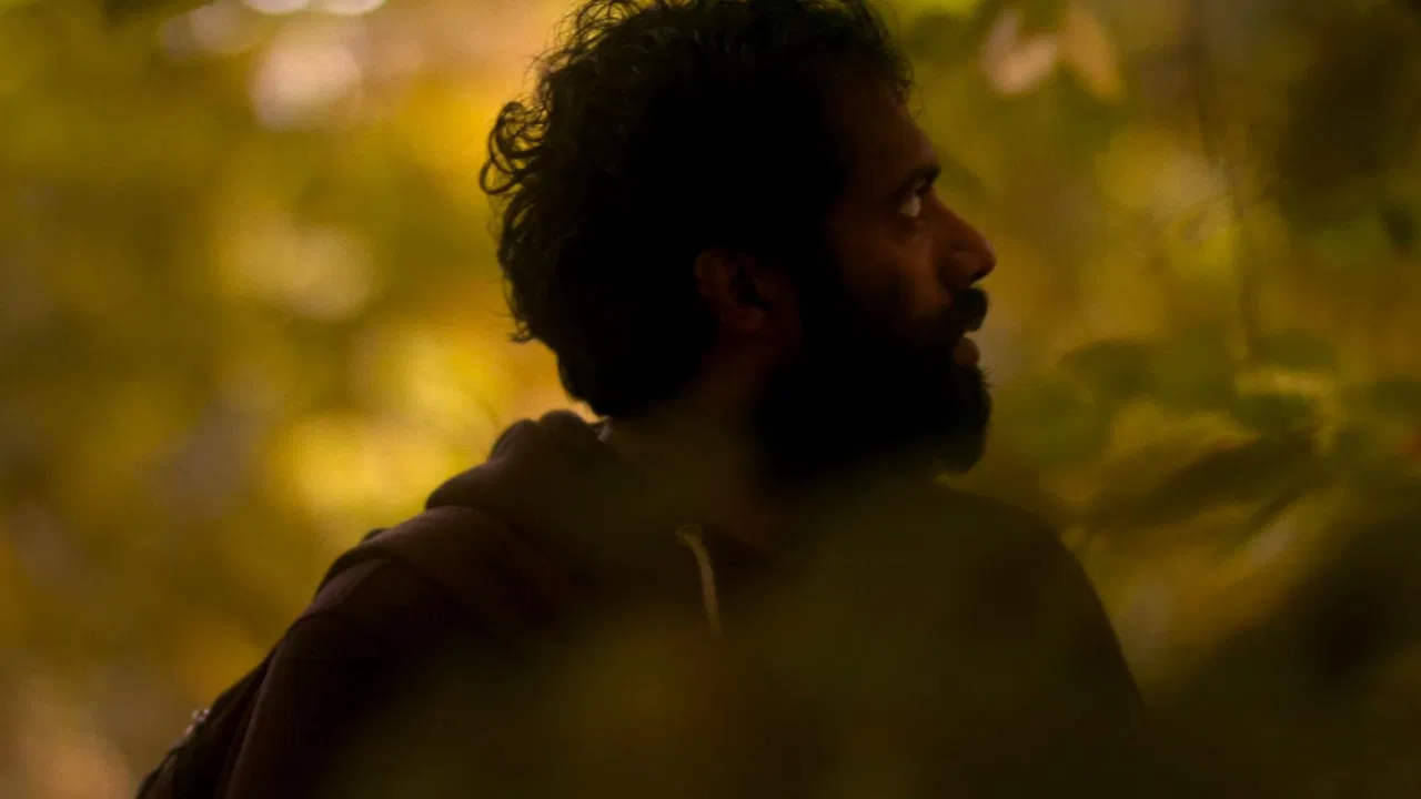 Soundless Dance backdrop