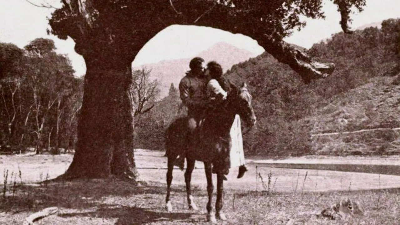 Salomy Jane backdrop