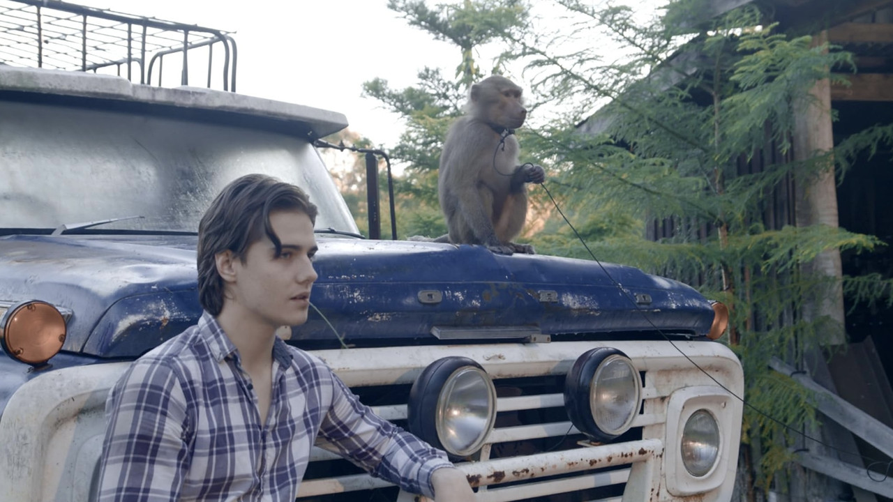 The Last Zombie backdrop