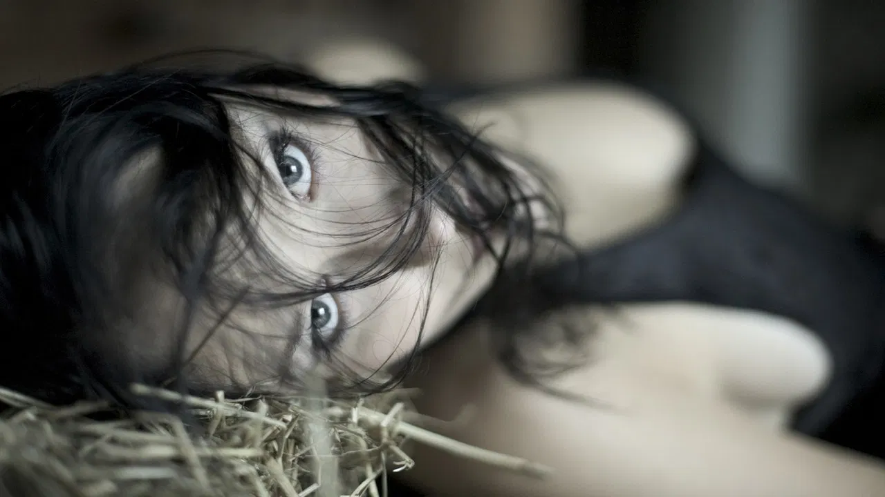 Tristania: Widow's Tour backdrop