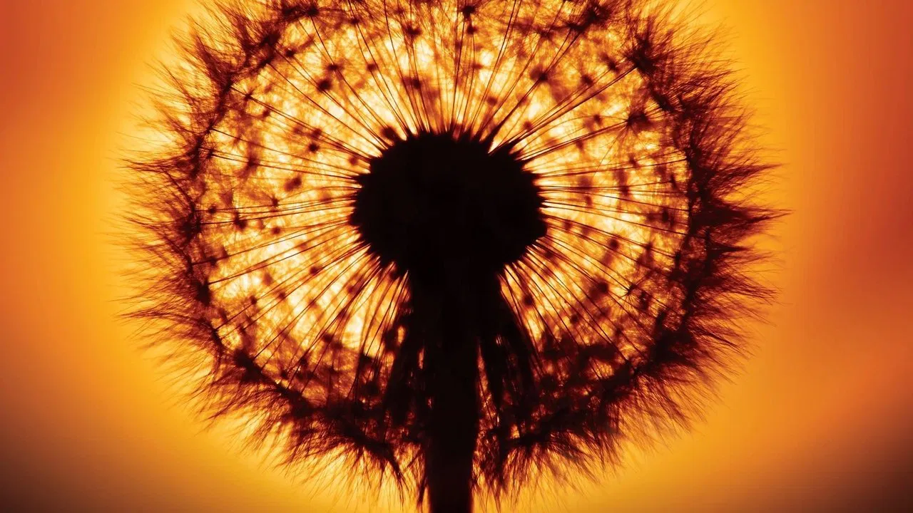 In the Beginning There Was Light backdrop