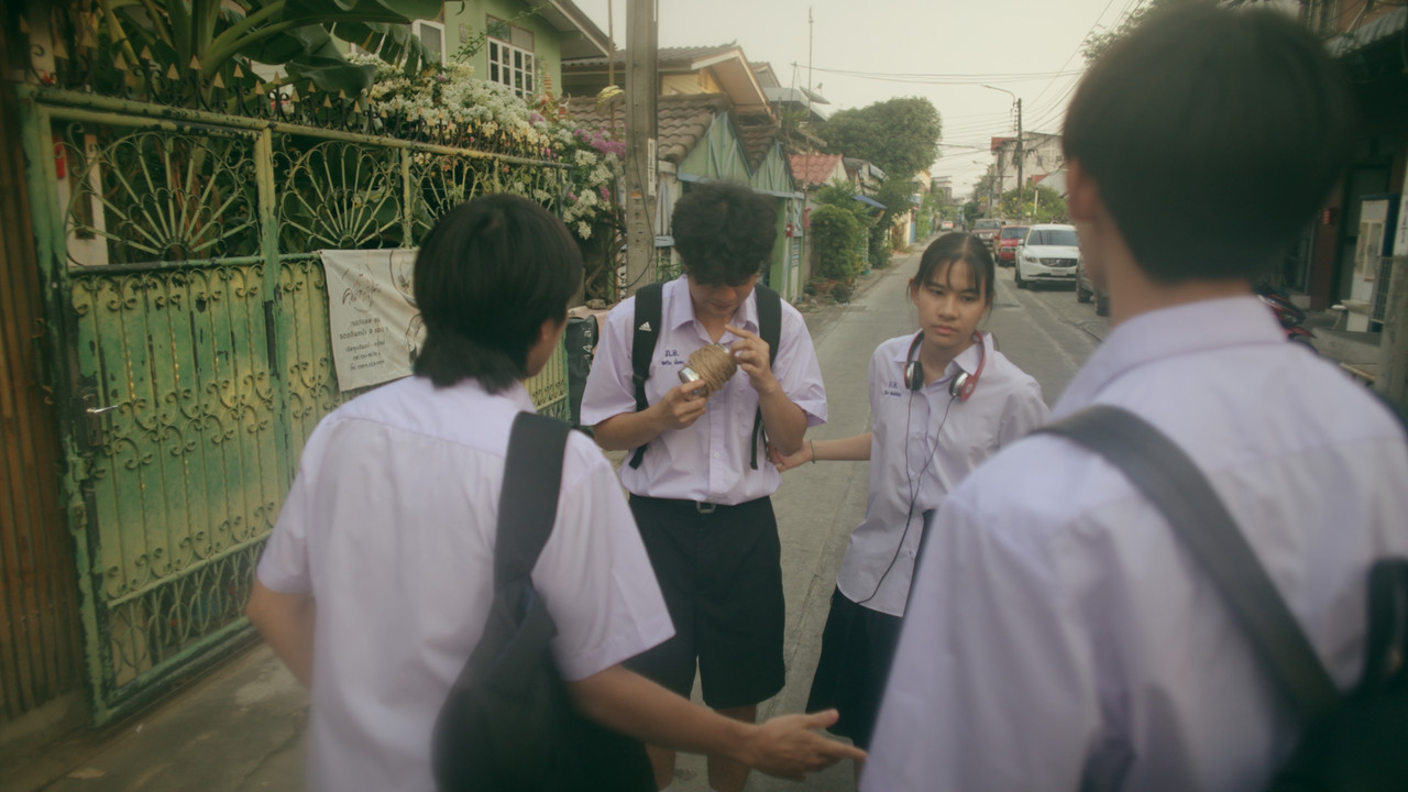 Twigs and Gum backdrop