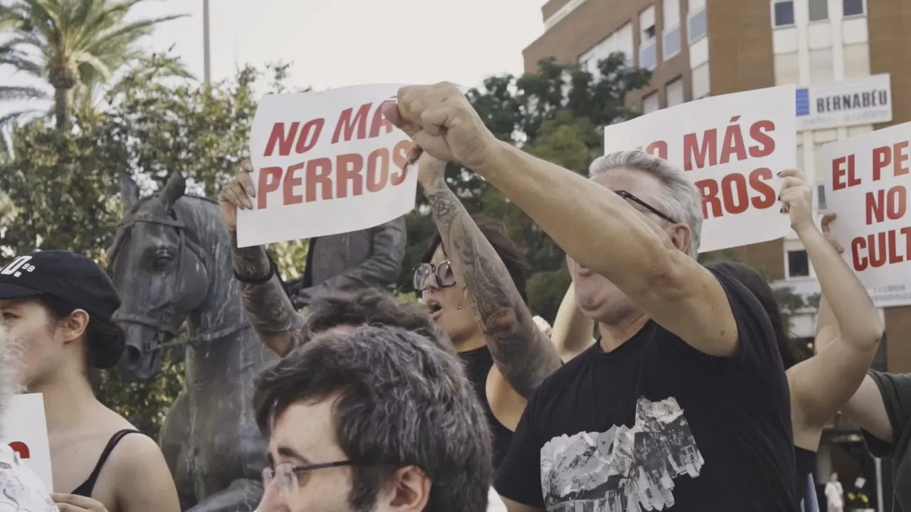 Perromaquia backdrop