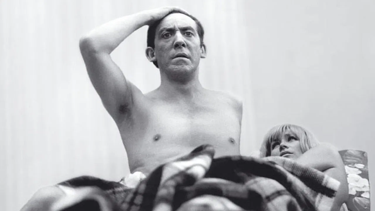 Several Times Daily backdrop